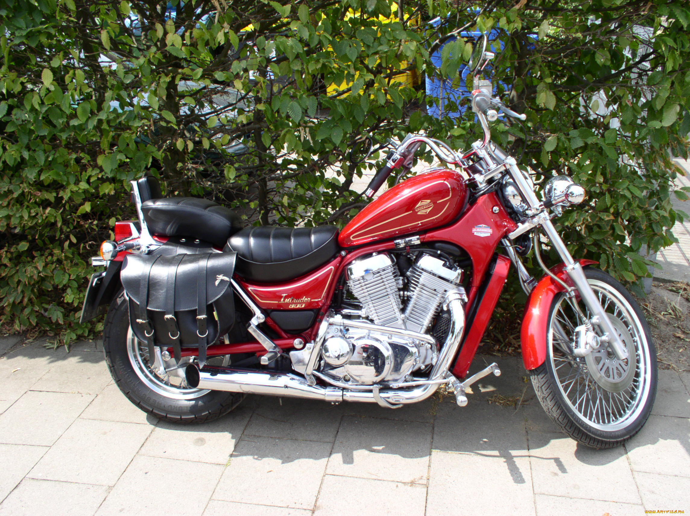 suzuki, 